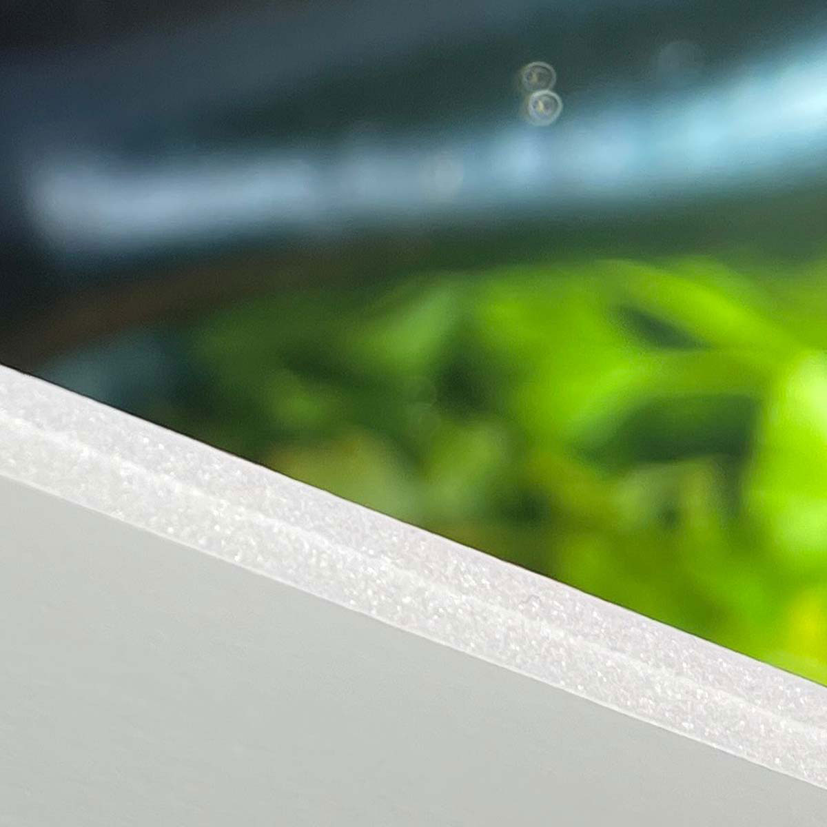 Foto uz putuplasta dēļa